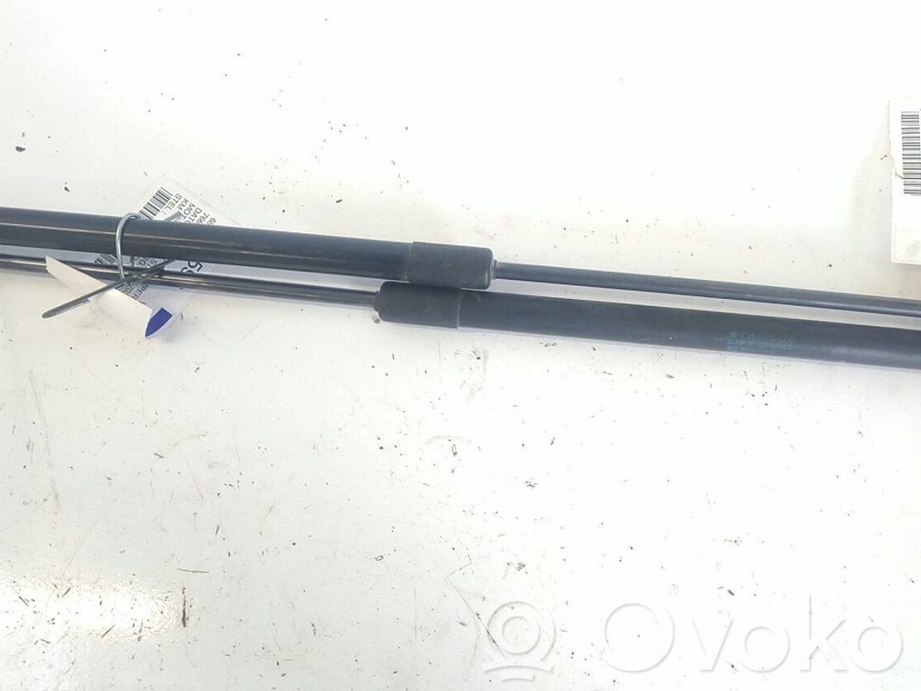 Vérin de capot arrière   8186068841000