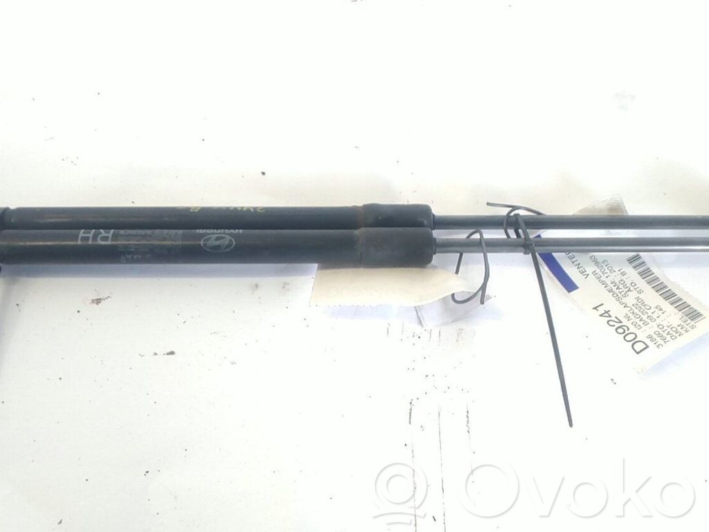 Amortizor hayon   817801J000
