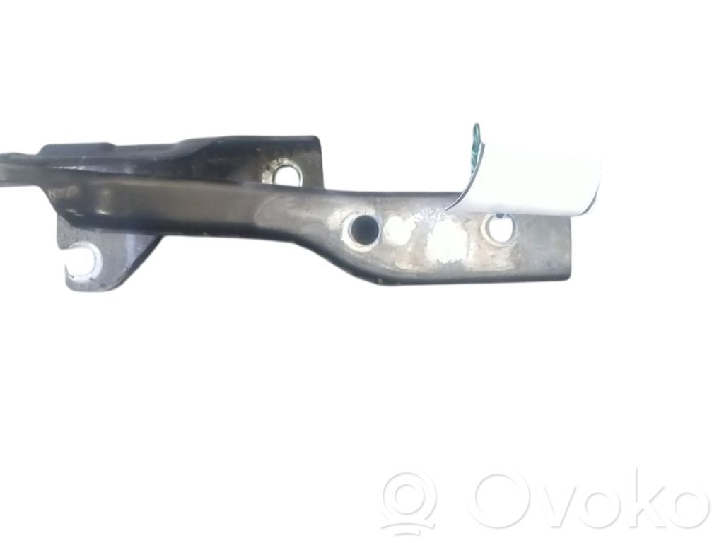 Volkswagen Polo V 6R Cerniere del vano motore/cofano
