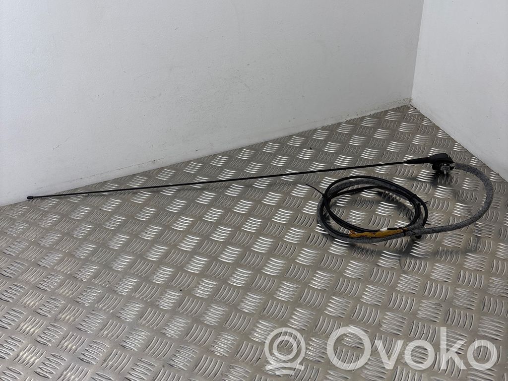 Dacia Duster Antenne radio 
