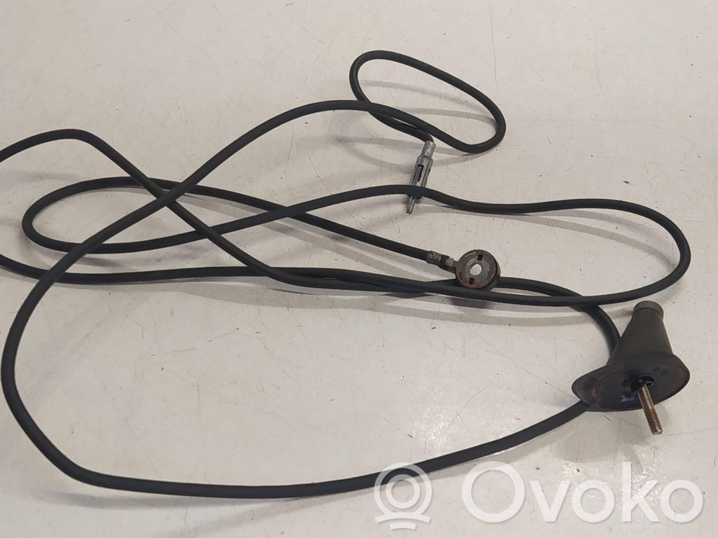Radion antenni