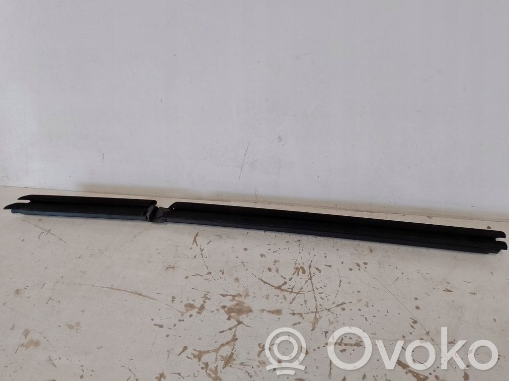 BMW 1 F40 Rear door glass trim molding 