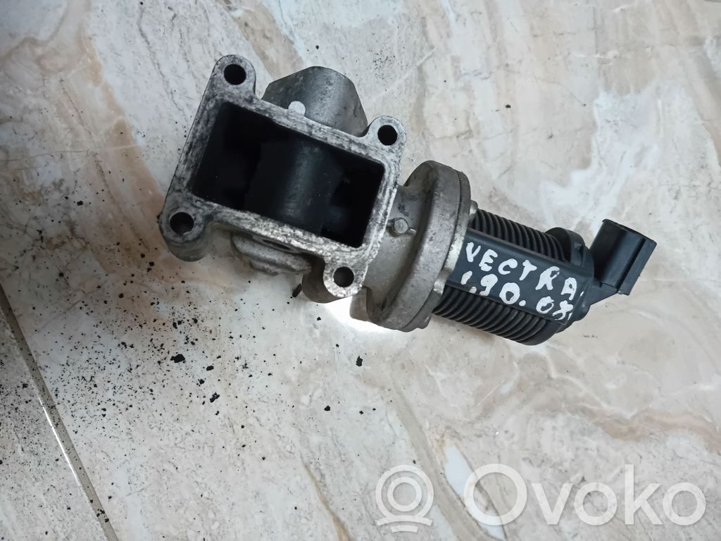 Válvula EGR   55215031,50024005