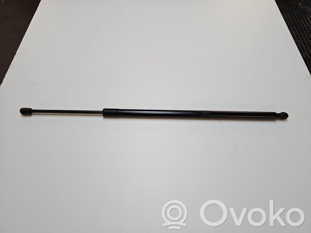 Chrysler Pacifica Tailgate strut 