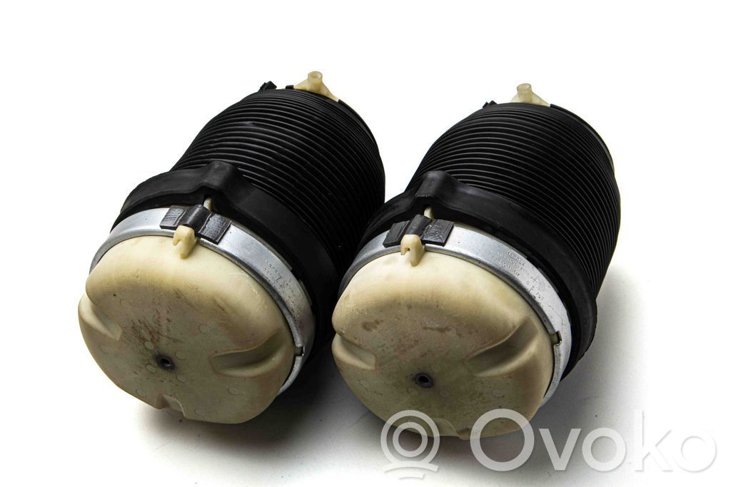 Audi A6 Allroad C6 Butelie suspensie pneumatică spate/amortizor 