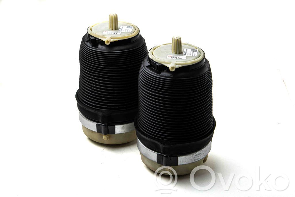 Audi RS6 C6 Butelie suspensie pneumatică spate/amortizor 