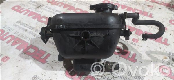 Citroen Xsara Kuro išsiplėtimo bakelis 