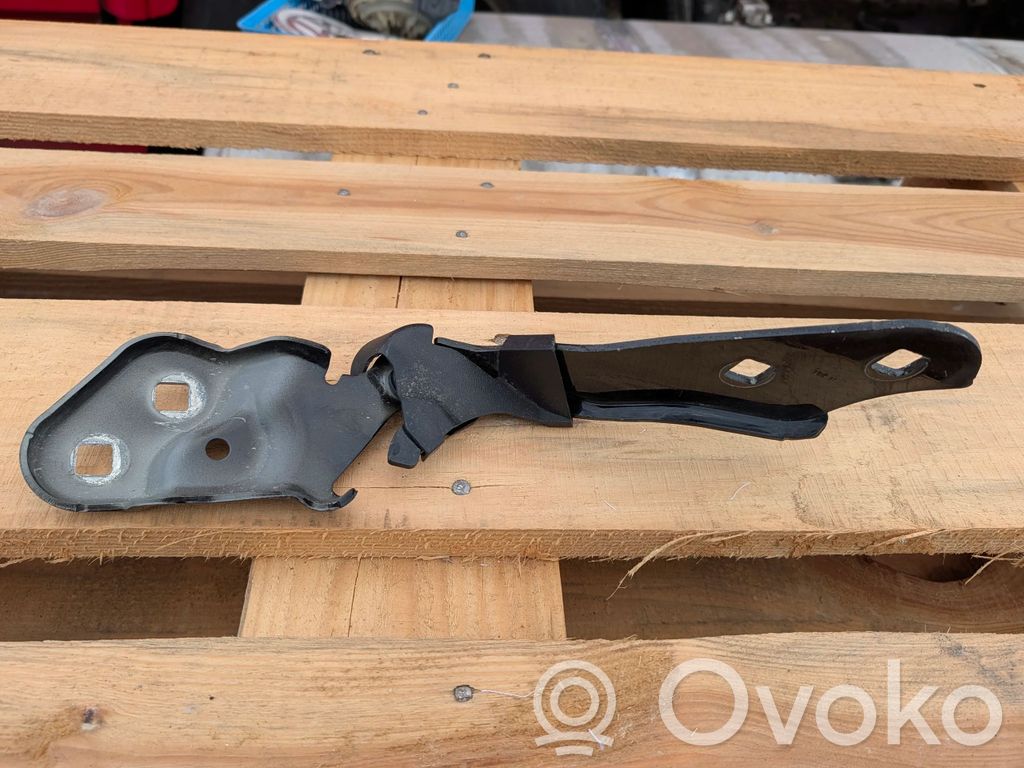 Tesla Model 3 Dzinēja pārsega eņģe (-es) 