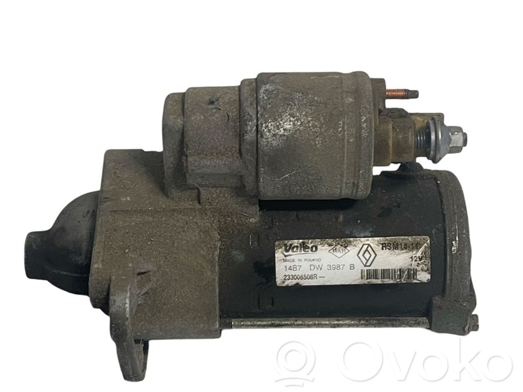 Starter motor   233006508R