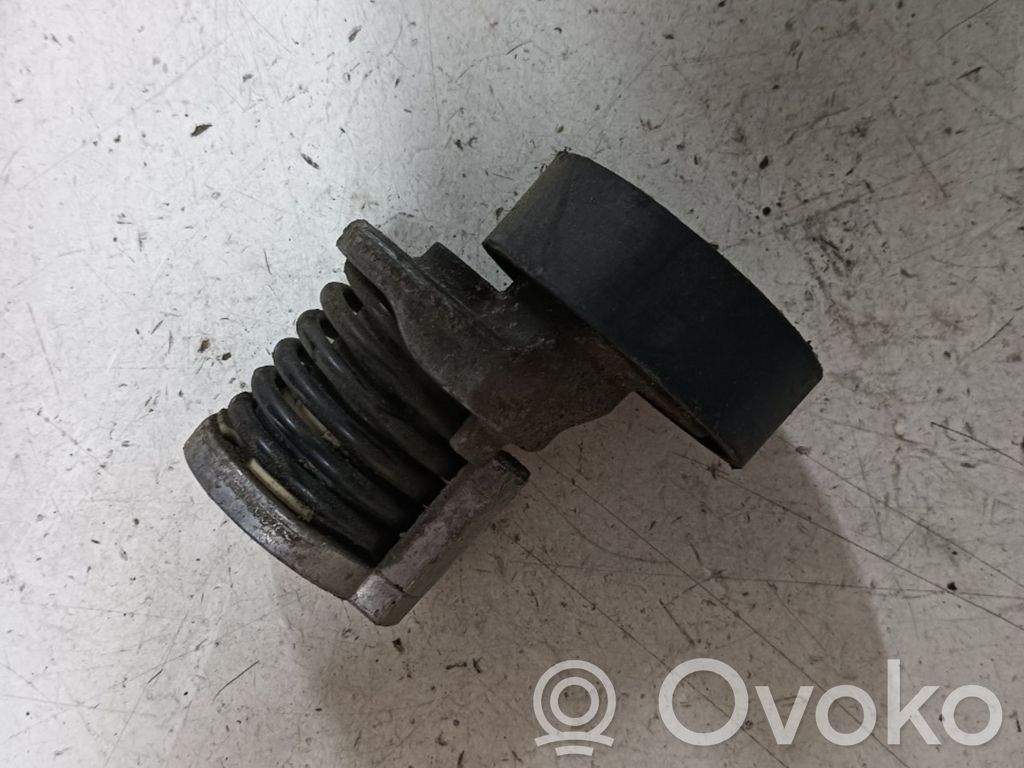 Tensor de la correa de distribución   038903315AA