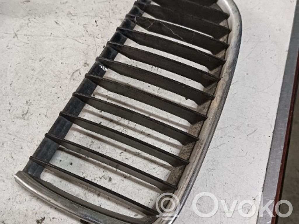 Front grill   51137263480