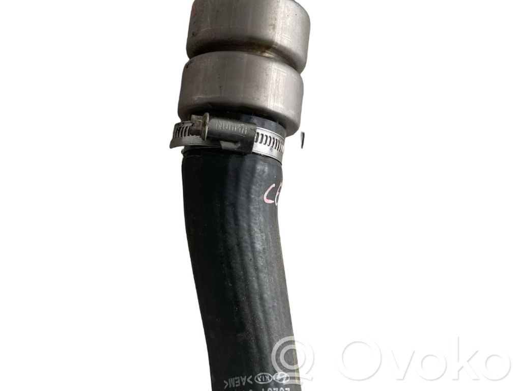 Intercooler hose/pipe   2828104500