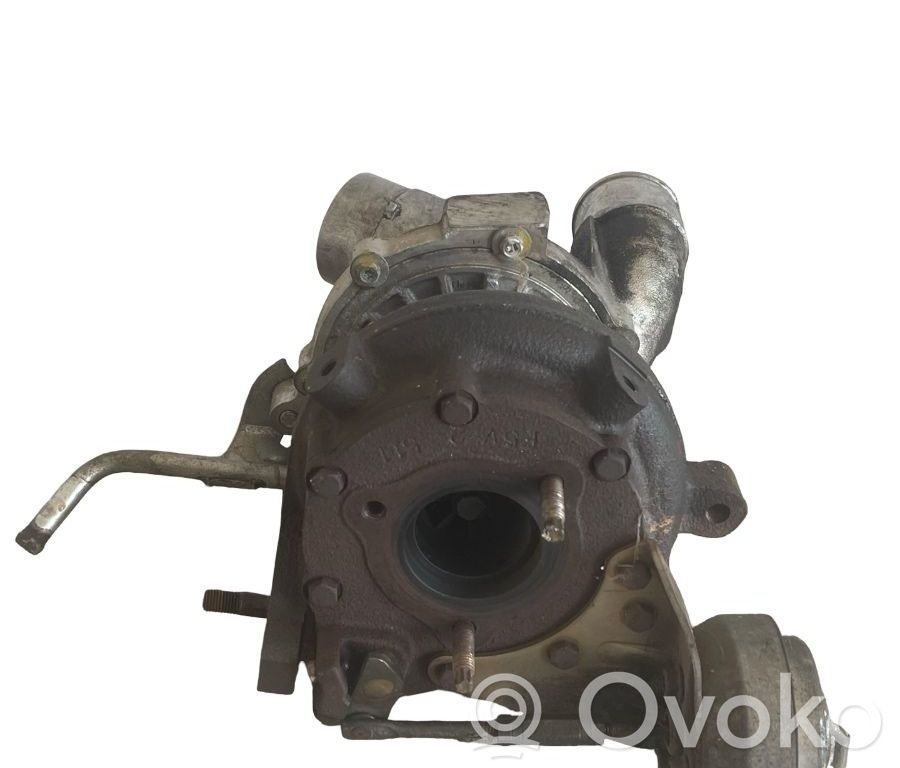 Turbo   1720126010