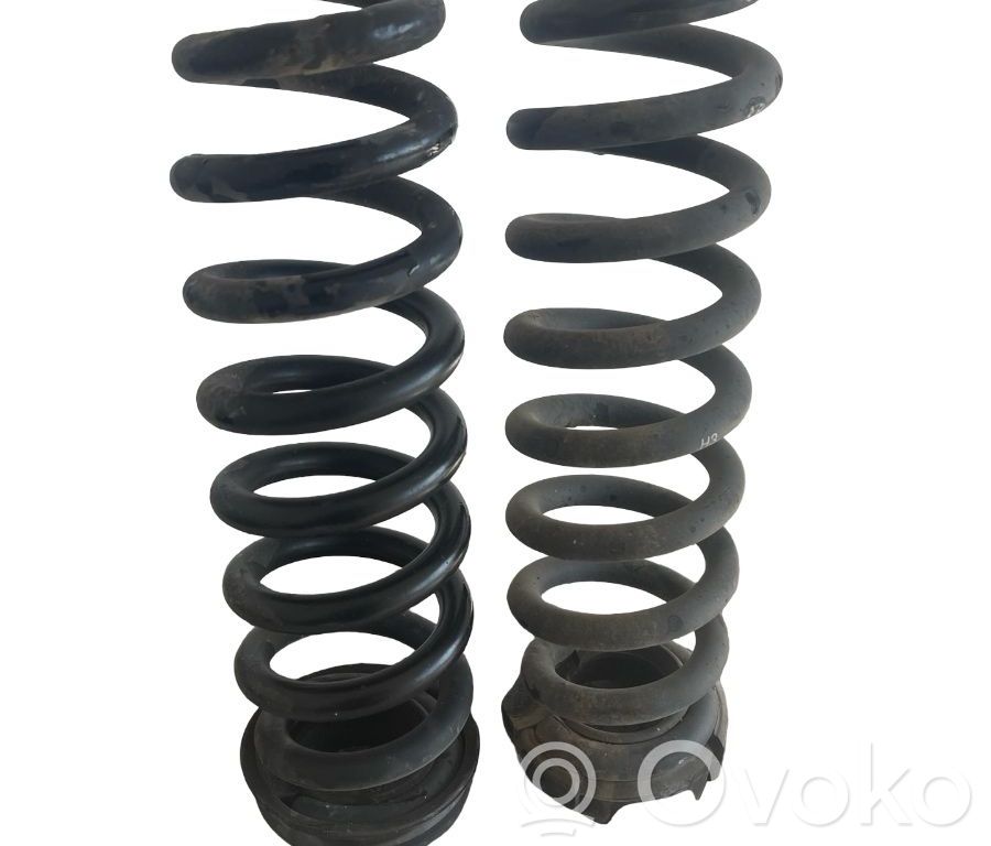 Muelle espiral trasero