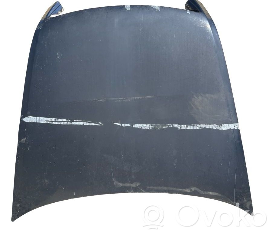 Volkswagen Phaeton Engine bonnet/hood 