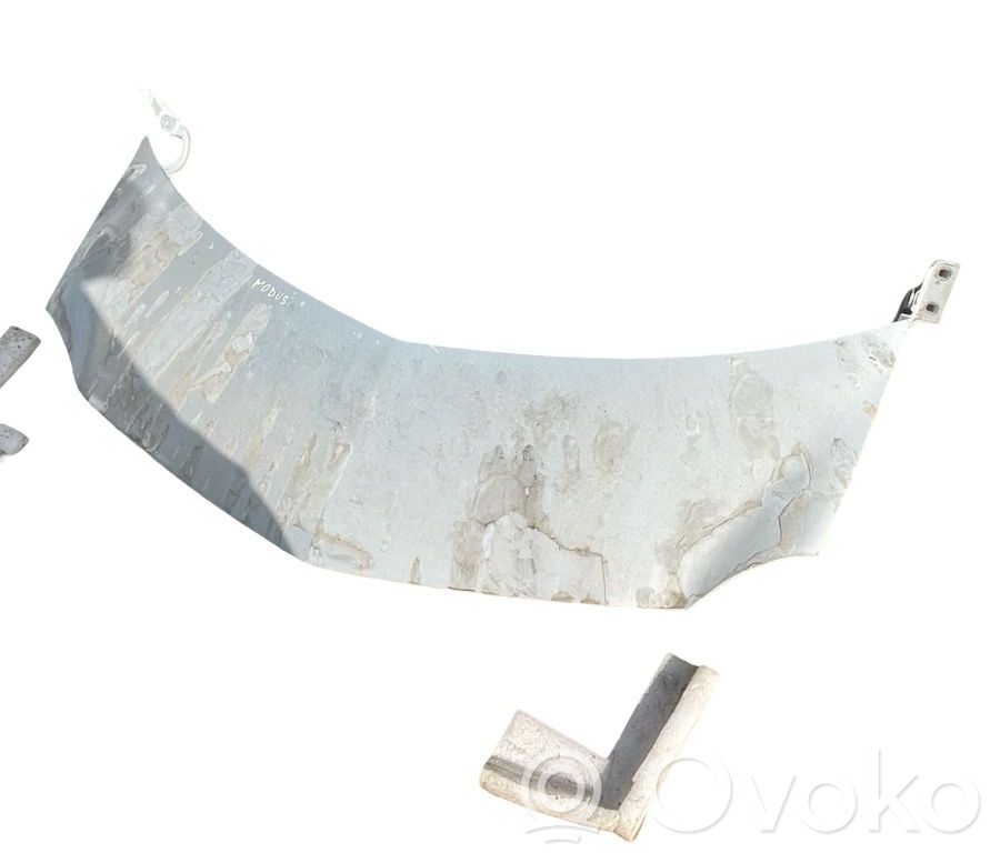 Dangtis variklio (kapotas)