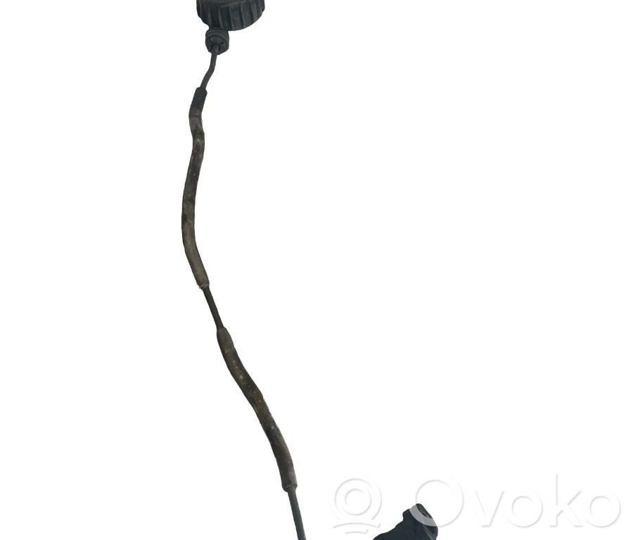 Kytkimen letku