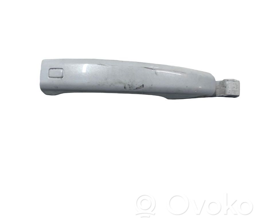 Manecilla externa puerta delantera   242538