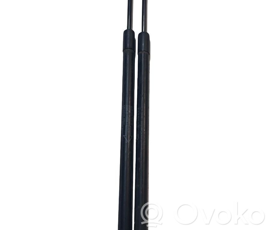 Tailgate strut   689500F012