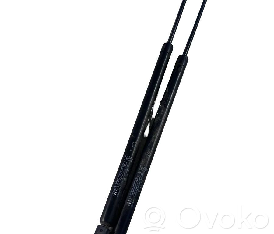 Jambe de force de hayon   2310700
