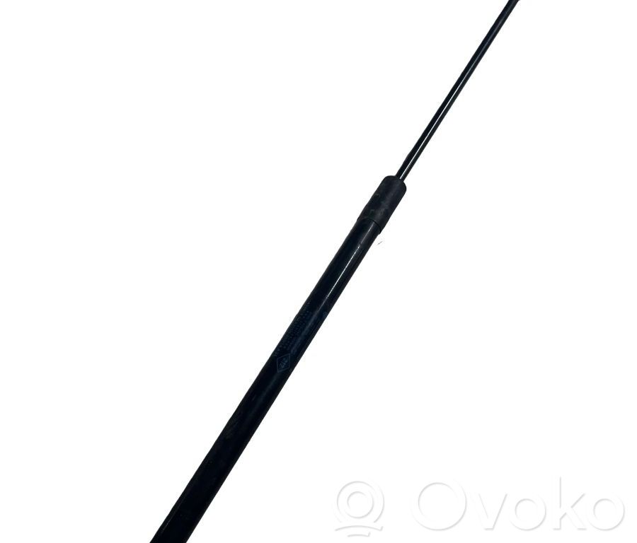 Tailgate strut   654712943R
