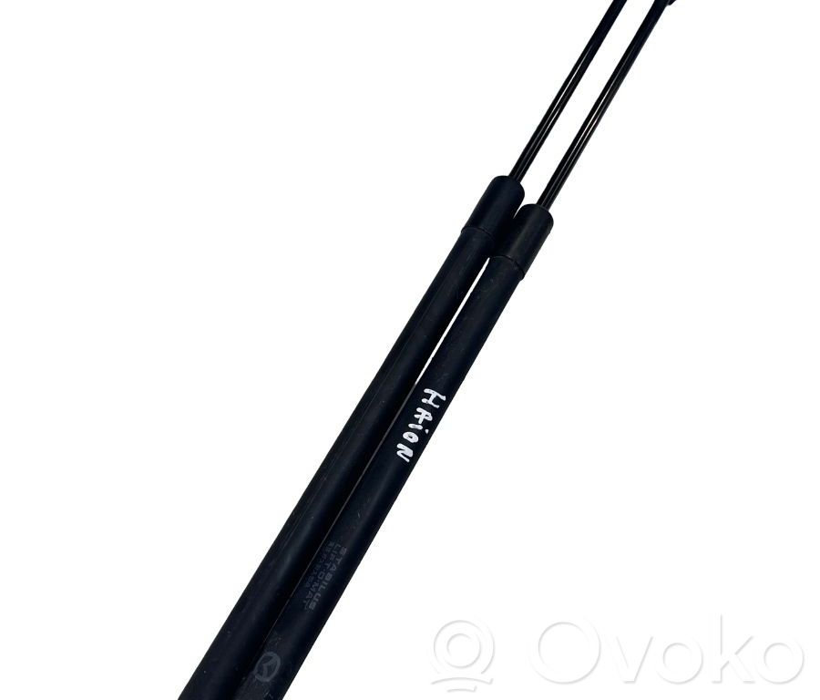 Jambe de force de hayon   D65163620