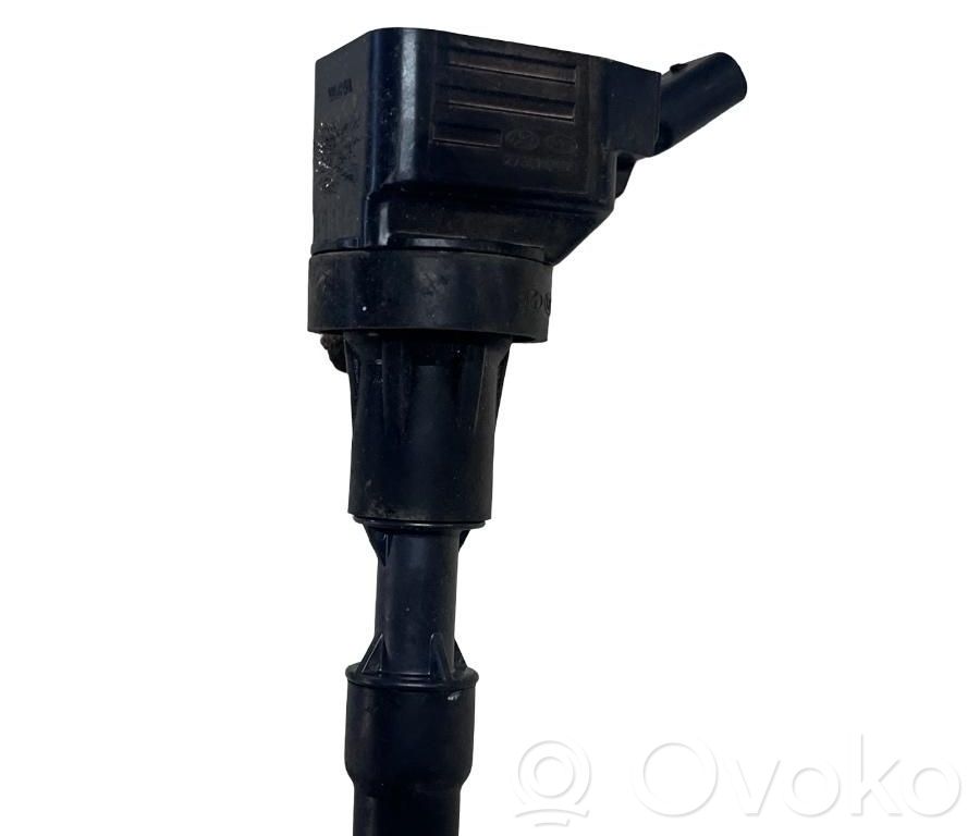 High voltage ignition coil   2730104110