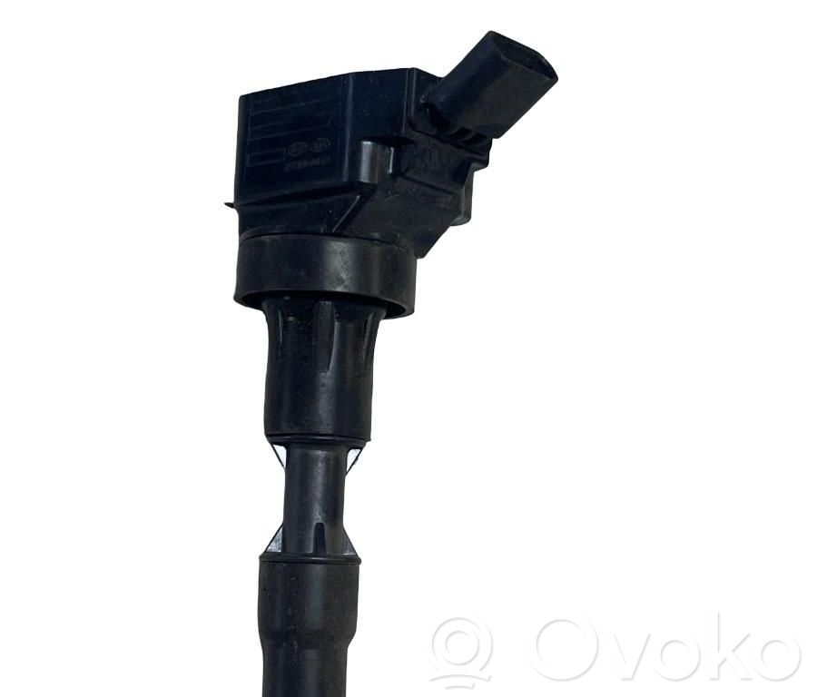 High voltage ignition coil   2730104110