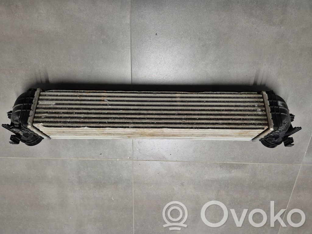 Chłodnica powietrza doładowującego / Intercooler   427460812,39109103,1558A
