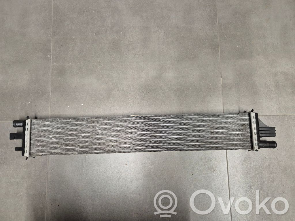 Optional radiator   T1077003,0154269,214010001R,2602201811
