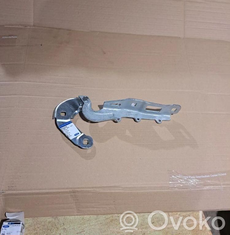 Ford Focus Dzinēja pārsega eņģe (-es) 