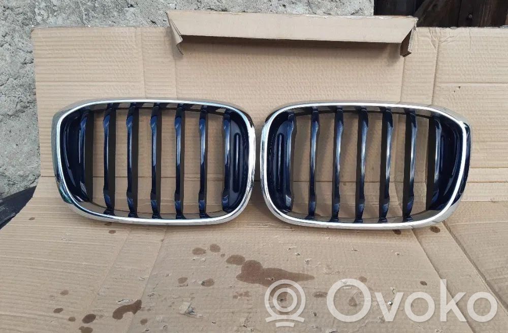 BMW X4 G02 Front bumper upper radiator grill 