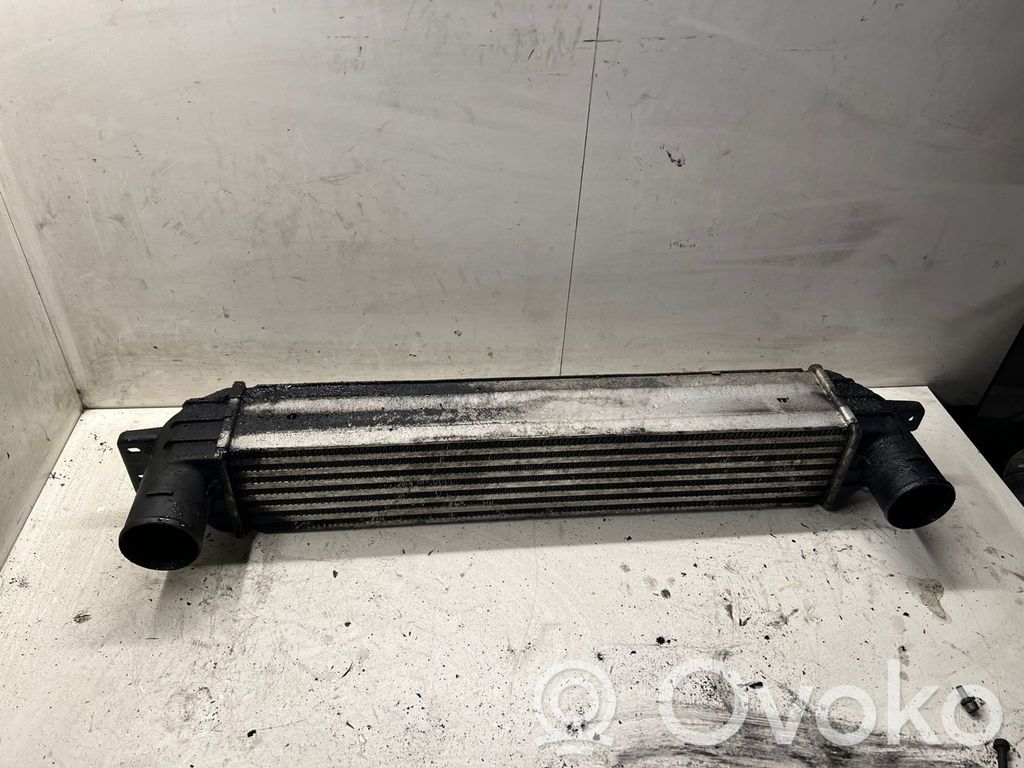 Opel Antara Interkūlerio radiatorius 