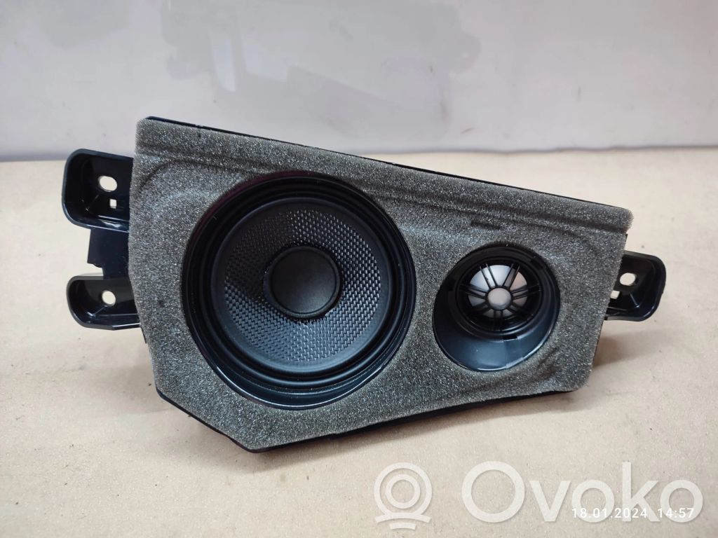 BMW X6 E71 Rear door speaker 
