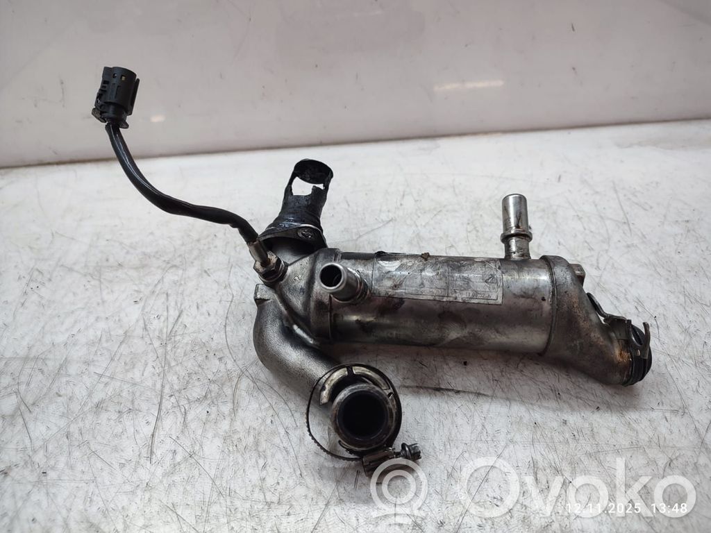 BMW X6 E71 EGR aušintuvas 