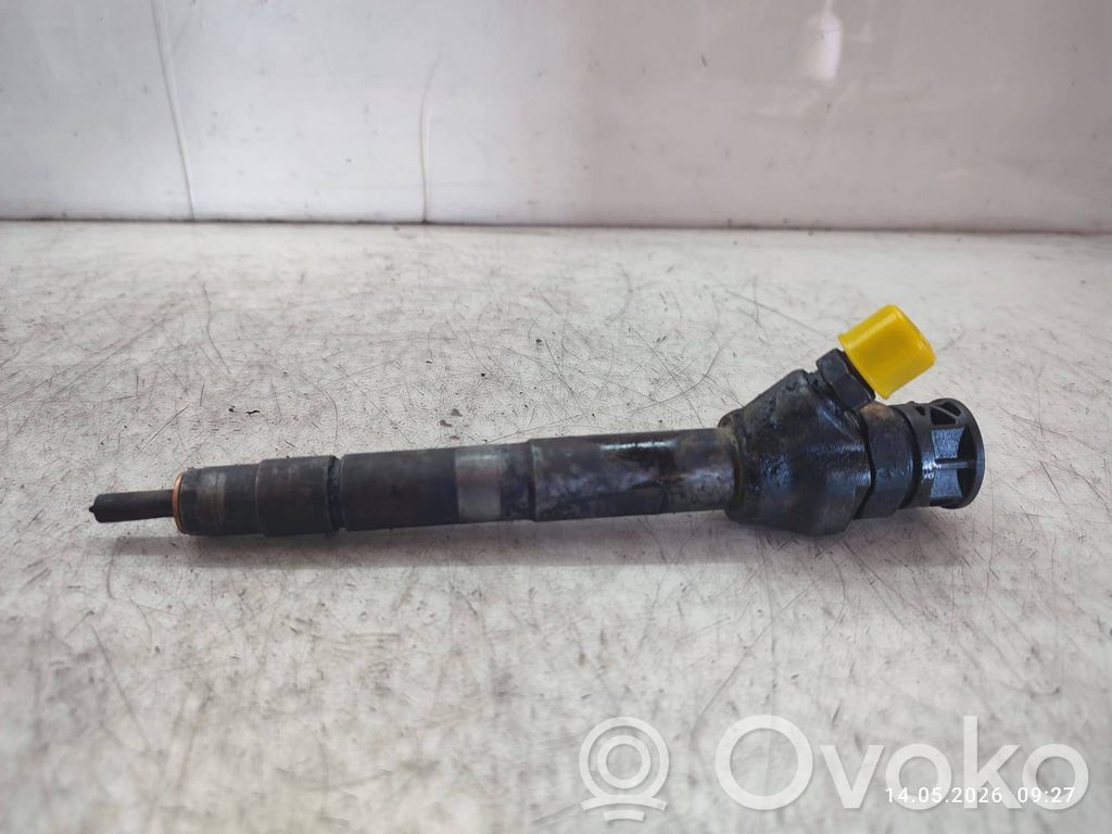 Land Rover Range Rover Evoque L538 Inyector de combustible 