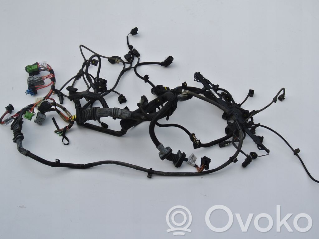 BMW X5 E70 Cablaj motor 