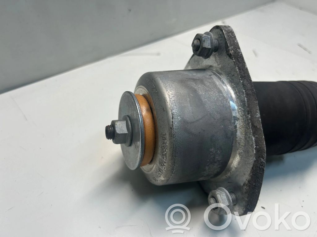 BMW X6 E71 Rear shock absorber/damper 