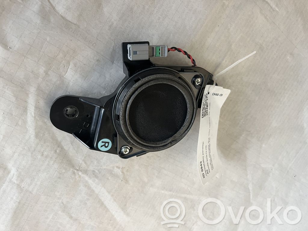 Hyundai Santa Fe Panel speaker 