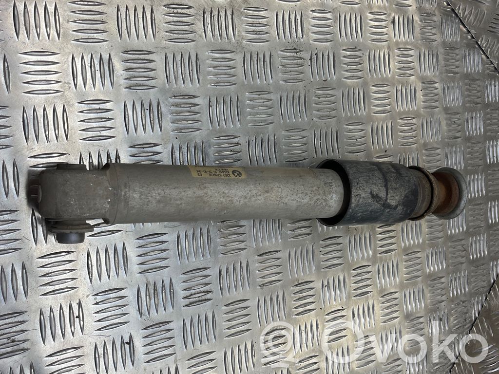 Stoßdämpfer hinten   6769011,H6162TB