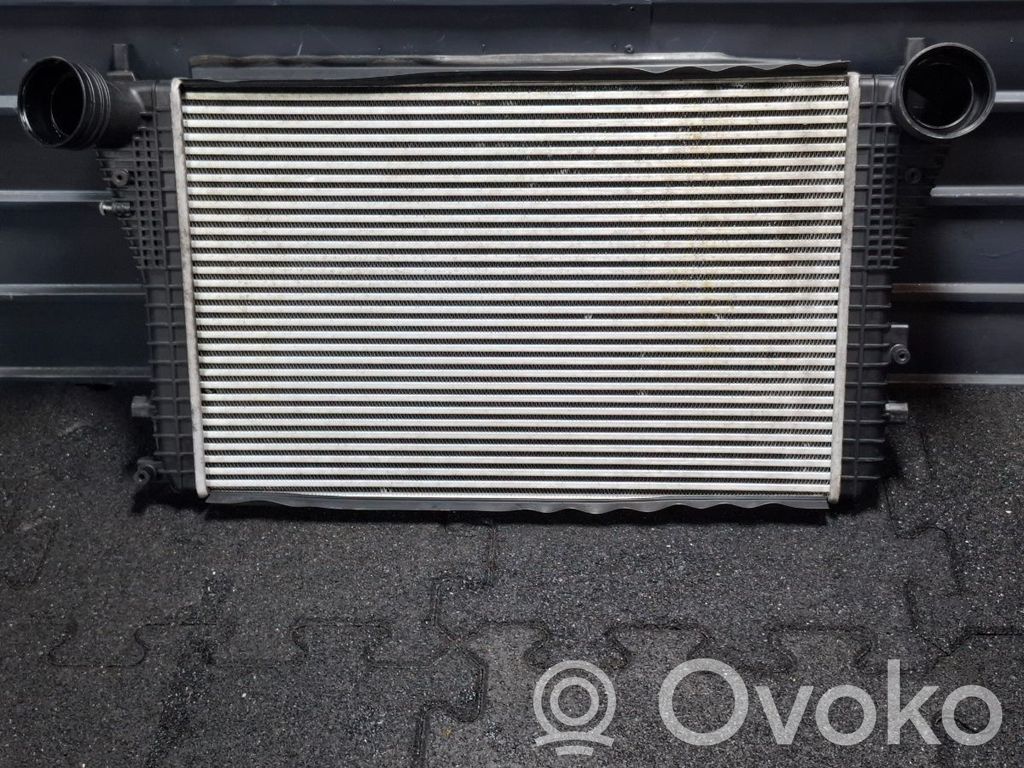 Skoda Octavia Mk2 (1Z) Ladeluftkühler 