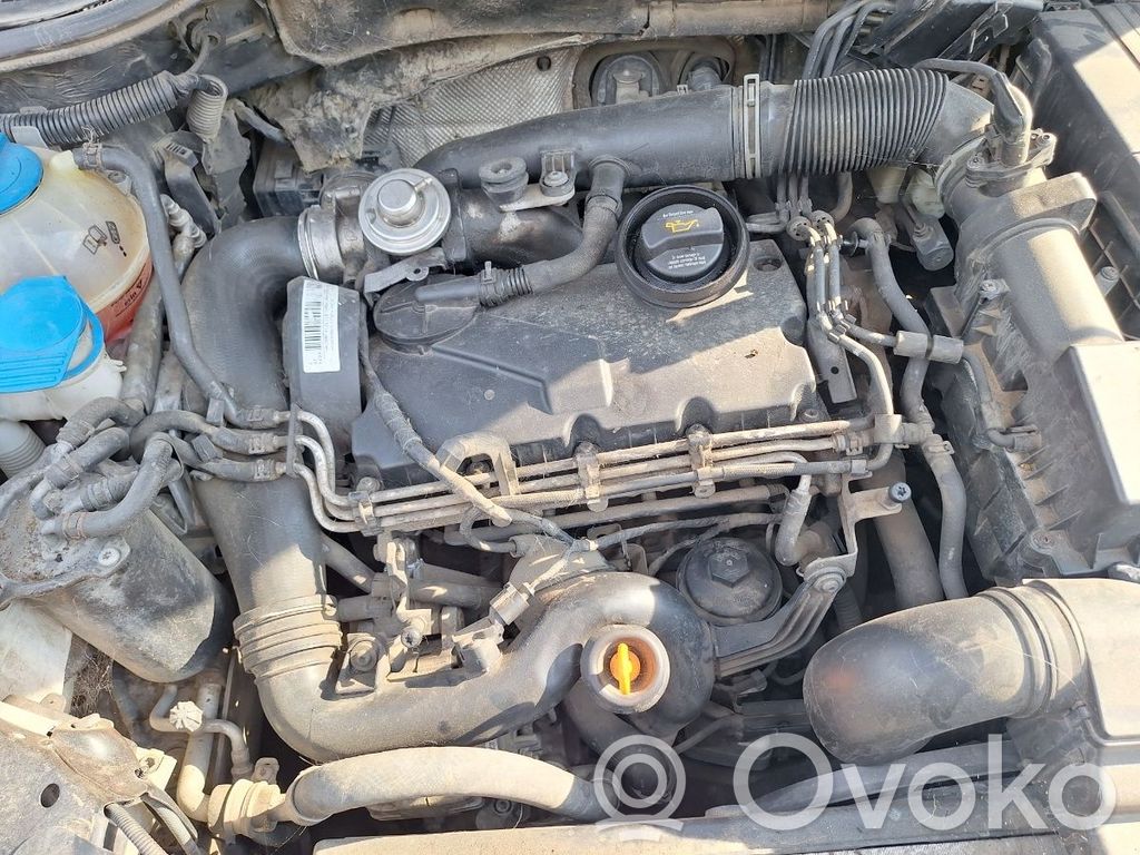 Motor