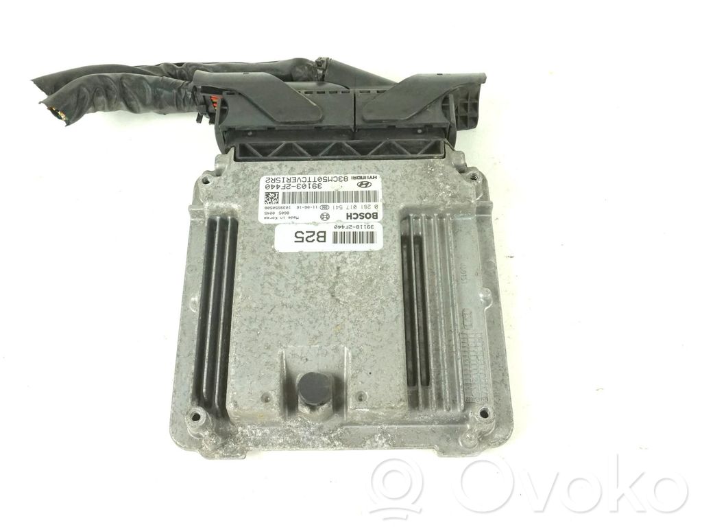Hyundai Santa Fe Engine control unit/module ECU 