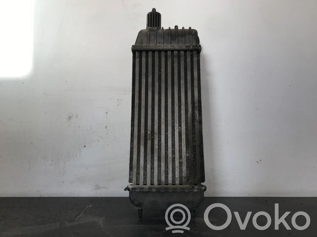 Intercooler radiator   1498987080,400920081