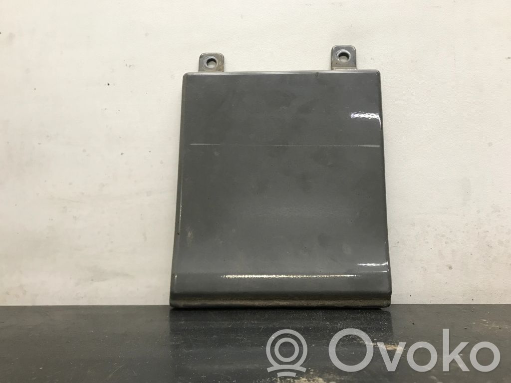 Renault Trafic III (X82) Rear door trim (molding) 