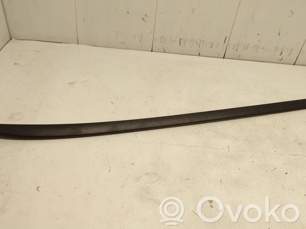 Ford Focus Windshield trim 