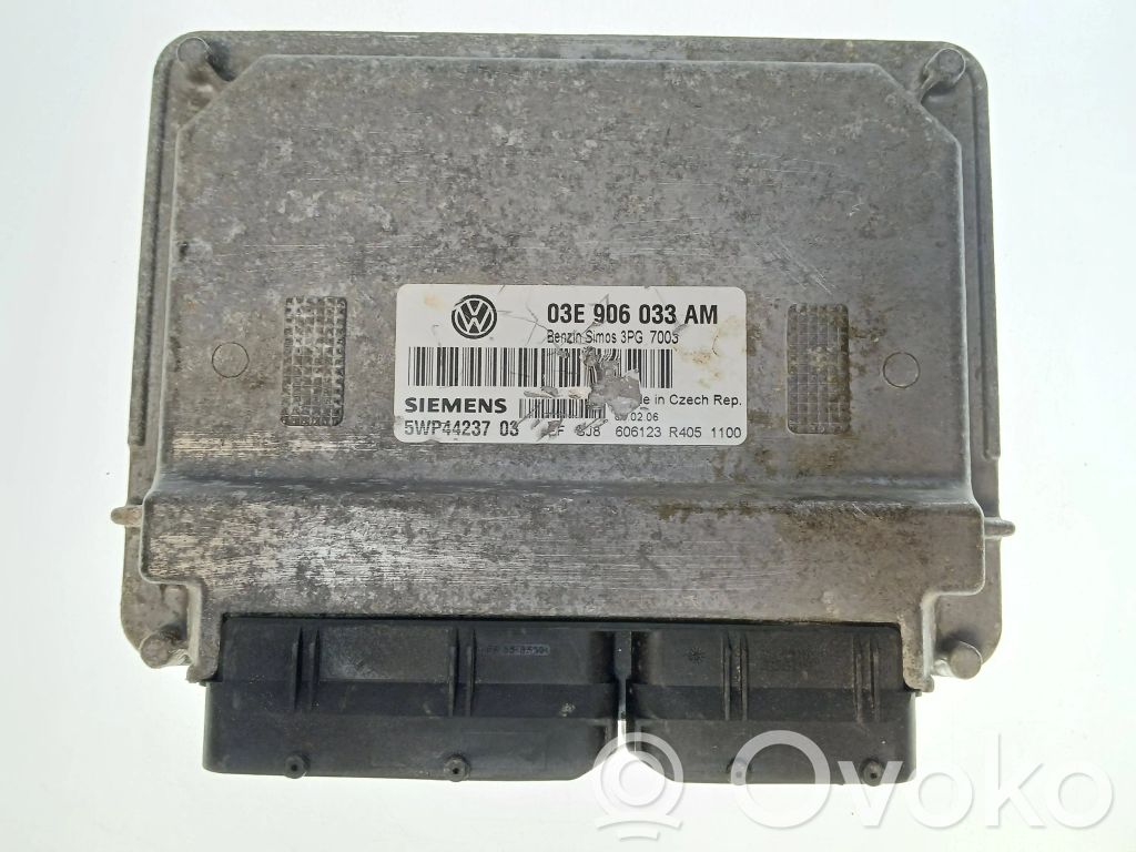 Seat Ibiza III (6L) Engine control unit/module 