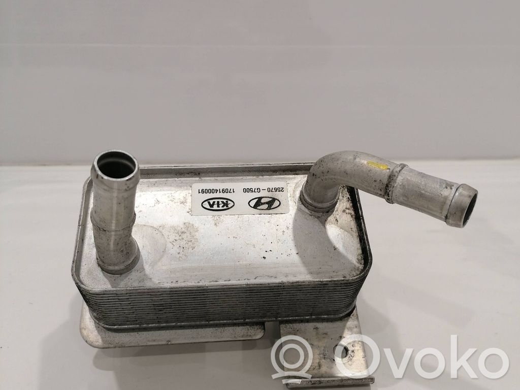 Hyundai Ioniq A/C cooling radiator (condenser) 