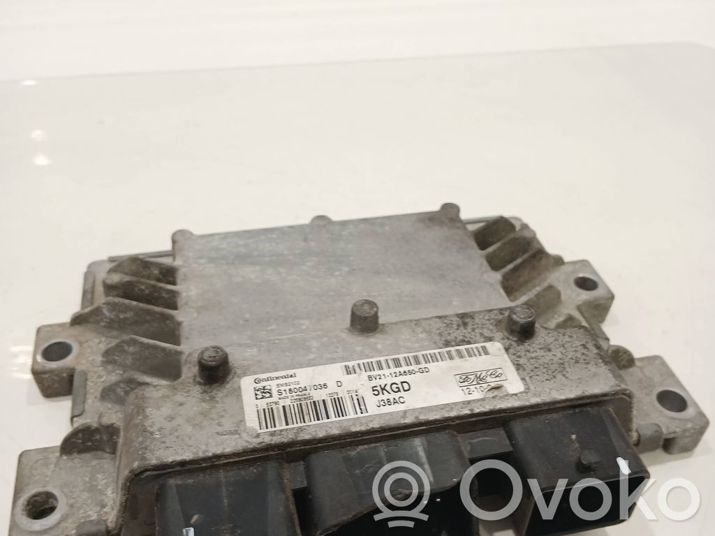 Ford Fiesta Engine control unit/module 