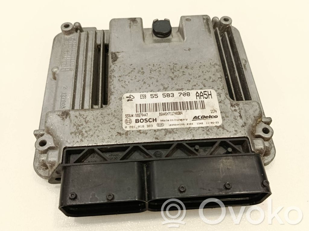 Chevrolet Aveo Engine control unit/module 